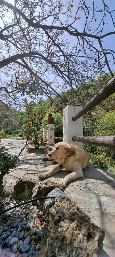 Villa Molino Laroya Esterno foto